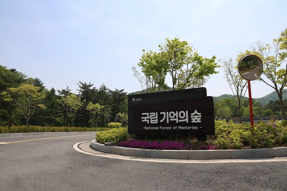 이미지 출처-보령시 네이버 블로그